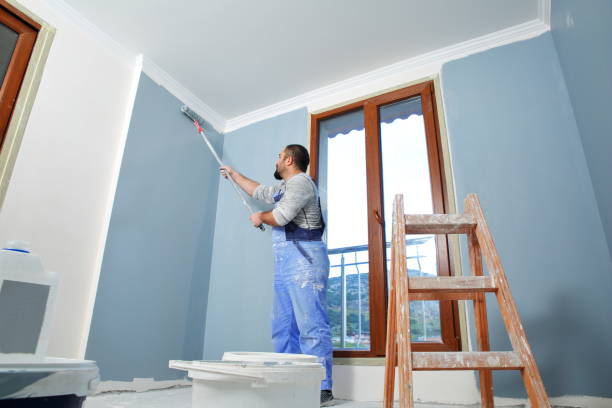 Vernon Hills, IL Painting & Drywall Installation Company